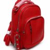 IMG-20260721-WA0035 Mochila vinipiel c/4 cierres -28x22cm